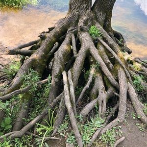 Meet your Posher, Delaney